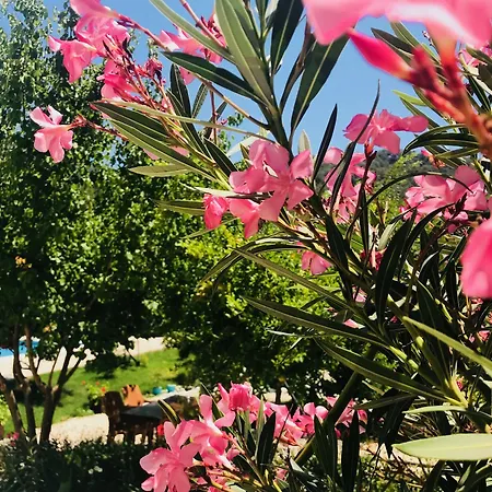 Olive Garden Olympos