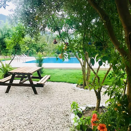 Olive Garden Olympos