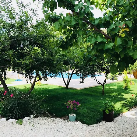 Olive Garden Hotel Olympos