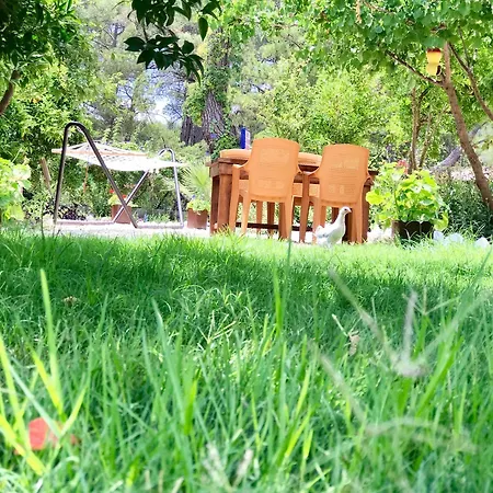 Olive Garden Hotel Olympos